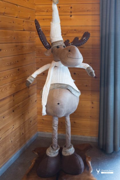 Chalet Faro Durbuy - gezellige living met haardvuur en TV