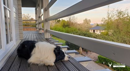 Chalet Faro Durbuy - vakantiehuis huren met terras met uitzicht over de Ardennen
